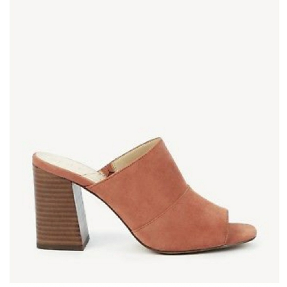 SOLE SOCIETY Johanna Mules